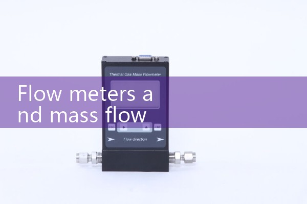 Flow meter and mass flow meter