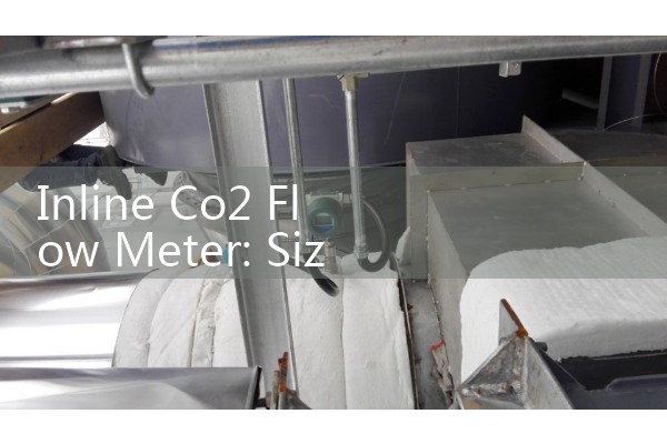 Inline Co2 Flow Meter: Sizing Thermal Mass Transmitters for Beverage Carbonation Piping Loops