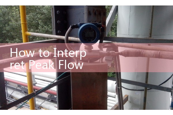 How to Interpret Peak Flow Meter Readings: Compare your daily scores against the 