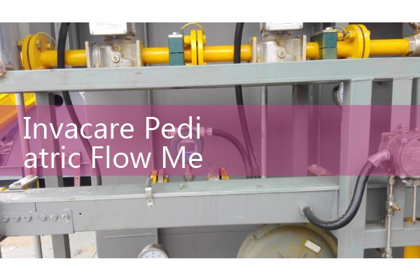 Invacare Pediatric Flow Meter: Low-Flow Medical Gas Regulators for Precise Neonatal Care Wards