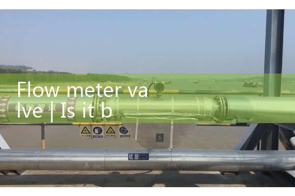 Flow meter valve