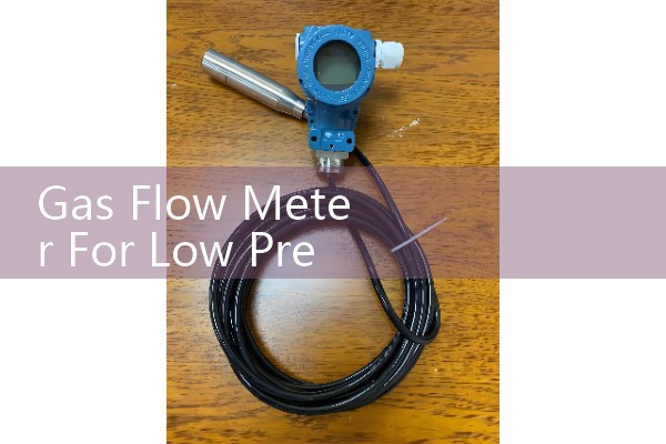 Gas Flow Meter For Low Pressure Sccm Applications