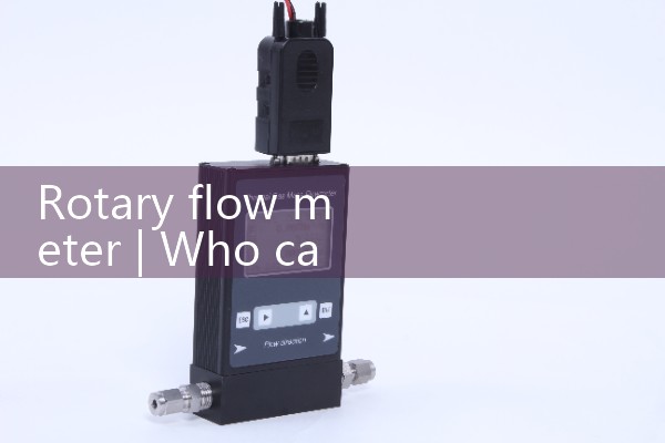 rotary flow meter