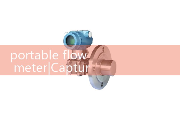 portable flow meter