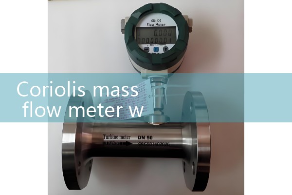 coriolis mass flow meter working|water flow meter