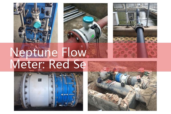 Neptune Flow Meter: Red Seal Positive Displacement Oil Sensors