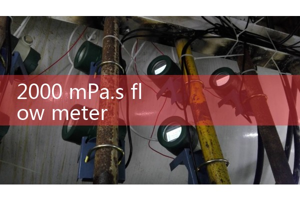 2000 mPa.s flow meter
