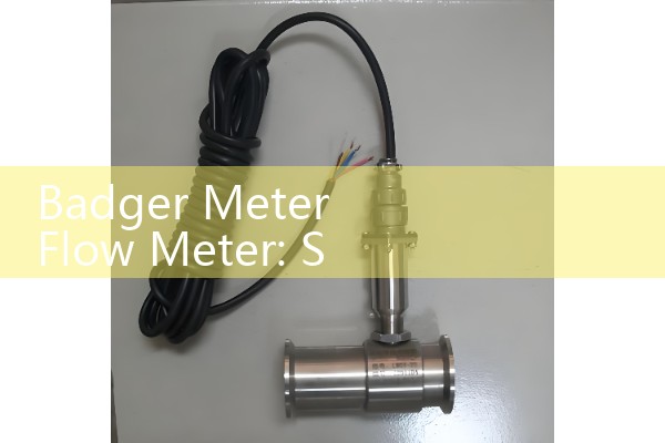Badger Meter Flow Meter: Sourcing Global Industrial Process Sourcing Catalogs