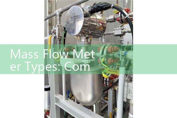 Mass Flow Meter Types: Comparing Coriolis, Thermal Mass, and Capillary Systems