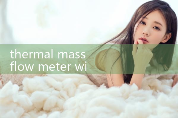 thermal mass flow meter with totalizer|turbine flow meter