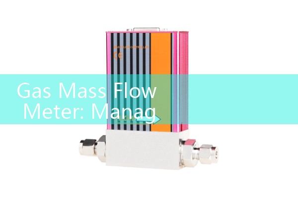 Gas Mass Flow Meter: Managing Pressure Changes