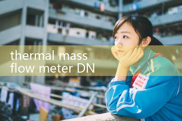 thermal mass flow meter DN15|turbine flow meter