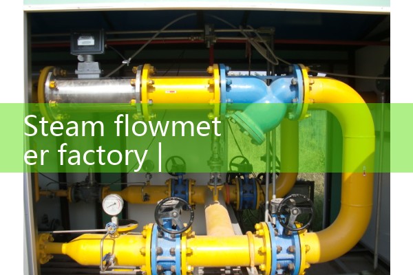 Steam flowmeter factory