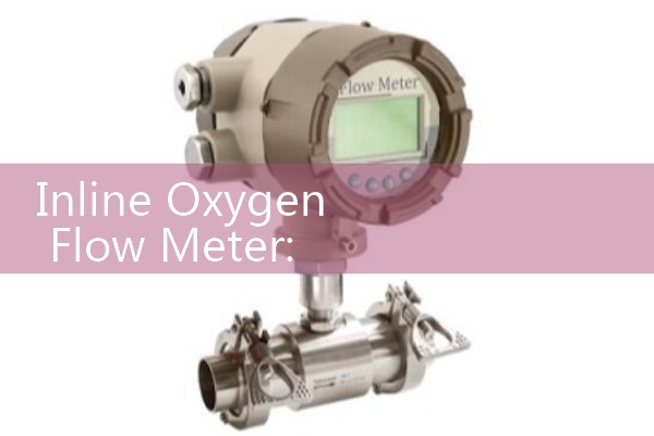 Inline Oxygen Flow Meter: Thorpe Tube and Needle Valve Regulators for Safe Laboratory Distribution