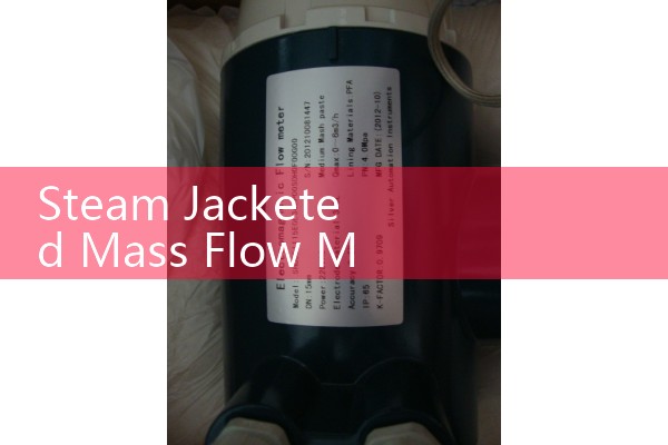 Mass flow meter vacuum