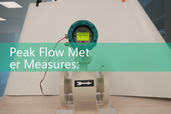 Peak Flow Meter Measures: Understanding Expiratory Flow Rate Data