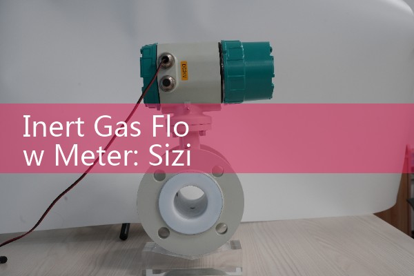 Inert Gas Flow Meter: Sizing Thermal Mass Controllers for Argon and Nitrogen Shielding Systems