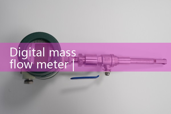 digital mass flow meter|gas flow meter