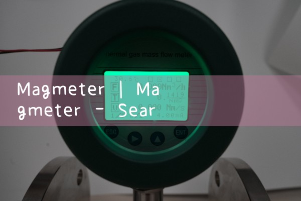 magmeter|heat flow meter