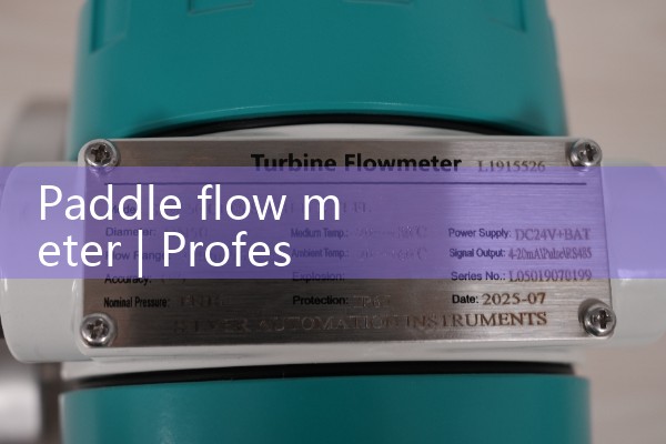 paddle flow meter|magnetic flow meter