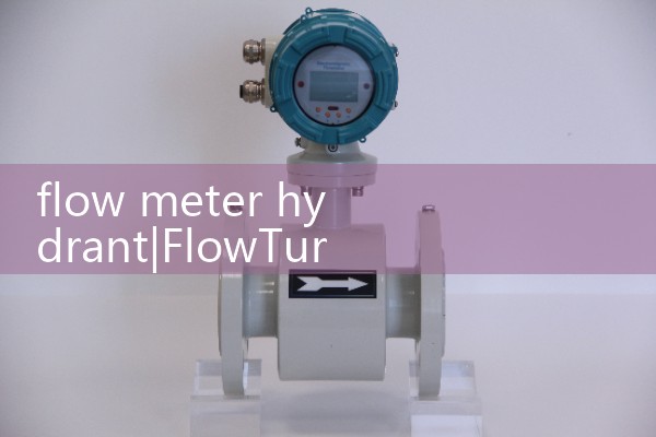 flow meter hydrant|water flow meter