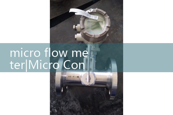 micro flow meter|heat flow meter