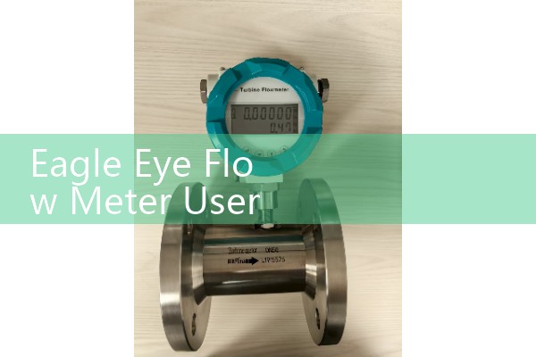 Eagle Eye Flow Meter User Manual: Diagnostic Tools and Field Operation