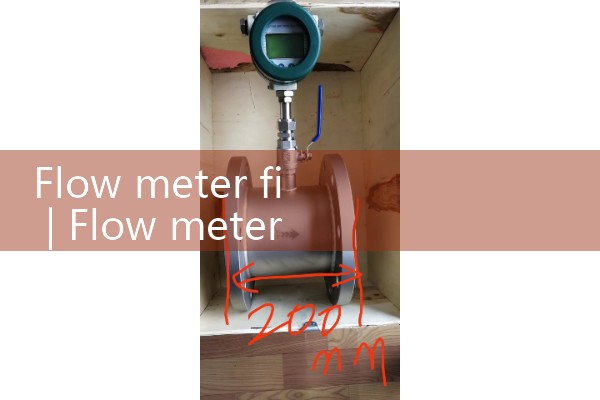Flow meter fi