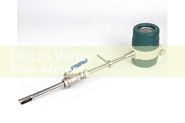 DN125 vortex flowmeter