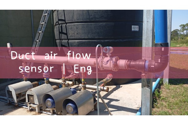 duct air flow sensor|heat flow meter