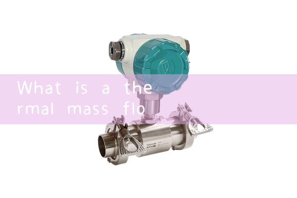 thermal mass flow sensor|water flow meter