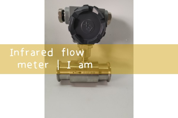 mechanical flow switch|water flow meter