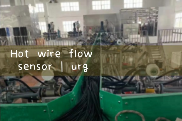hot wire flow sensor|gas flow meter