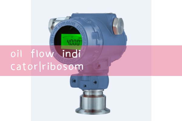 oil flow indicator|gas flow meter