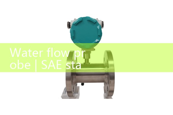 water flow probe|gas flow meter