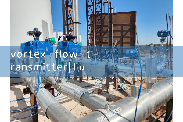 vortex flow transmitter|water flow meter