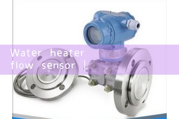 water heater flow sensor|gas flow meter