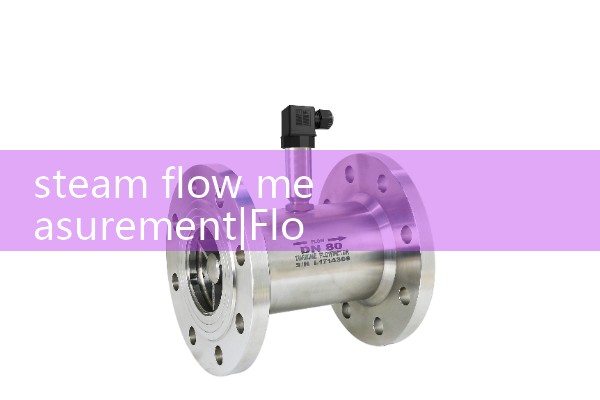 steam flow measurement|water flow meter